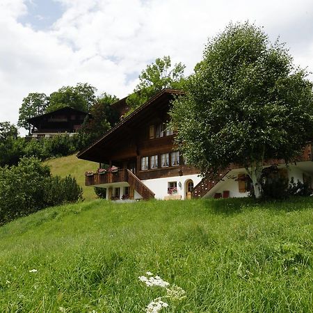 Chalet Unter Dem Stein Grindelwald Eksteriør billede