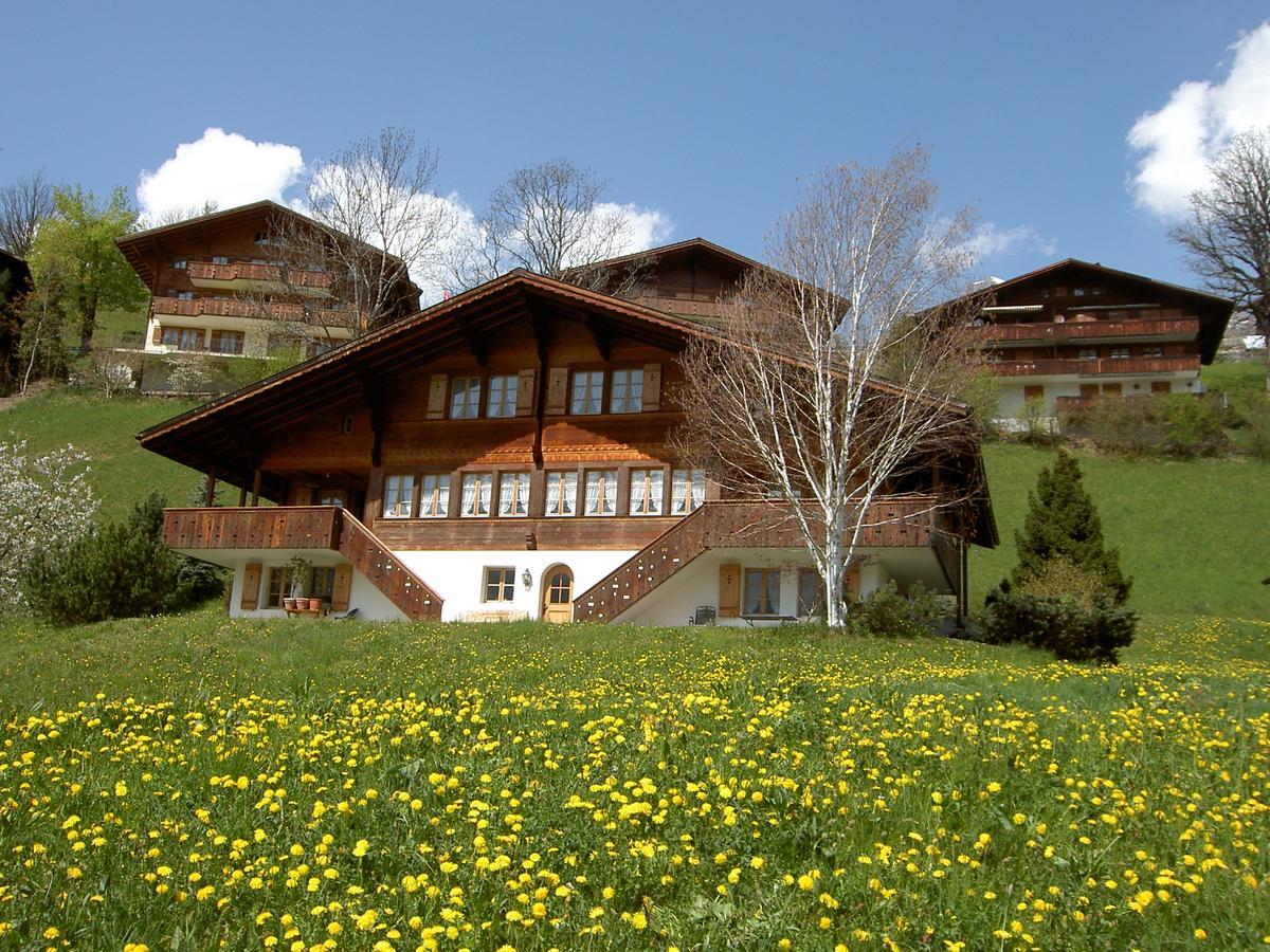Chalet Unter Dem Stein Grindelwald Eksteriør billede