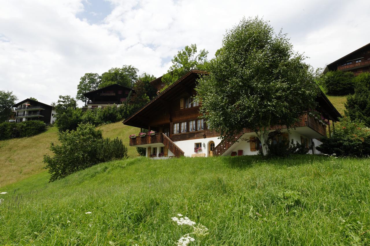 Chalet Unter Dem Stein Grindelwald Eksteriør billede
