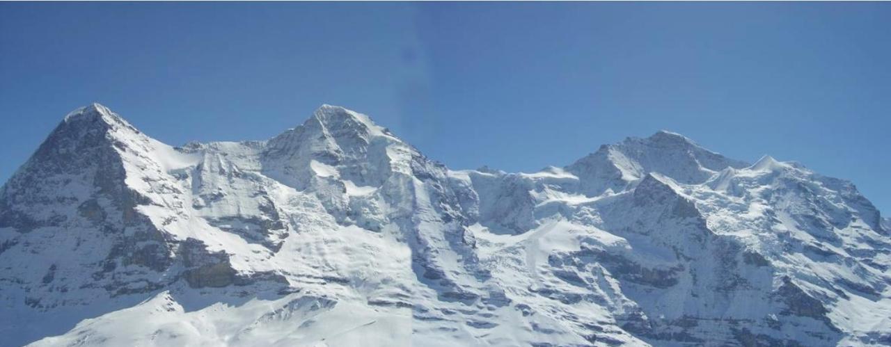Chalet Unter Dem Stein Grindelwald Eksteriør billede